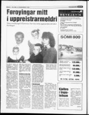 Síða 8