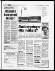 Síða 13