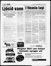Síða 15