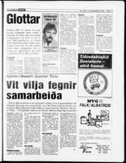 Síða 17