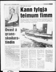 Síða 5