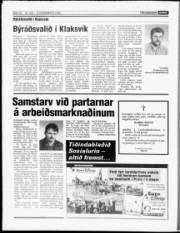 Síða 11