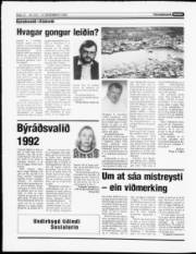 Síða 13