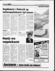 Síða 14