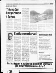 Síða 17