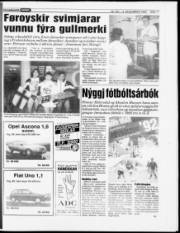 Síða 18