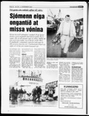 Síða 19