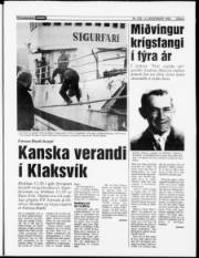 Síða 29
