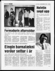 Síða 31