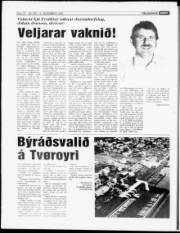 Síða 42