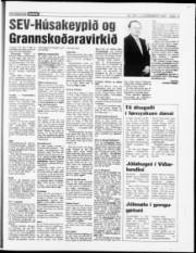 Síða 43