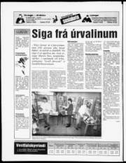 Síða 48