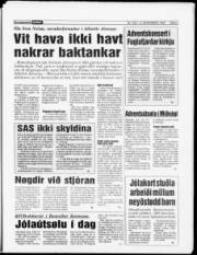 Síða 5