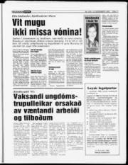 Síða 11