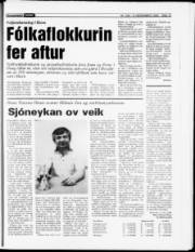 Síða 15