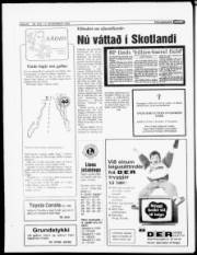 Síða 20