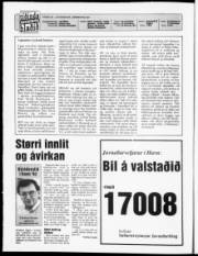 Síða 2