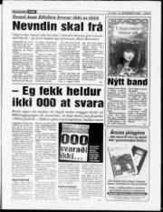Síða 3