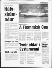 Síða 4
