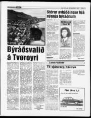 Síða 13