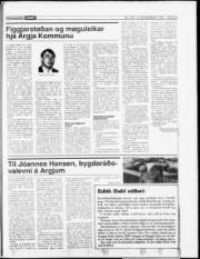 Síða 23