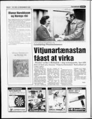 Síða 6