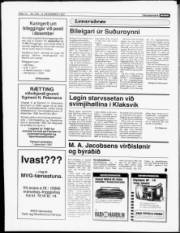 Síða 14