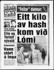 Síða 1