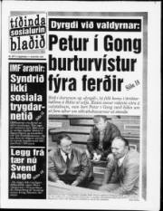 Síða 1