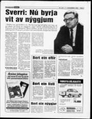 Síða 3