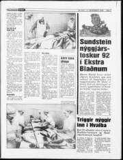 Síða 7