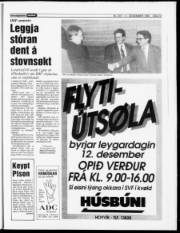 Síða 13