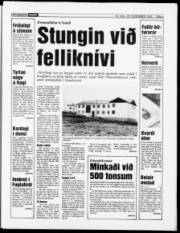 Síða 3