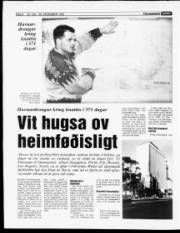 Síða 8
