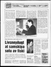 Síða 2