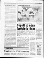 Síða 6