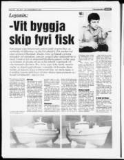 Síða 20