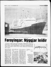 Síða 24