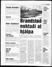 Síða 6