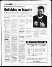 Síða 11