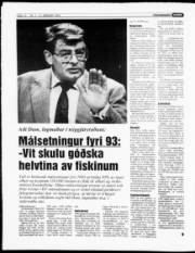 Síða 12
