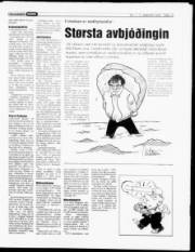 Síða 13
