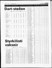 Síða 18