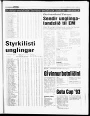 Síða 19
