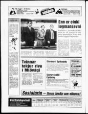 Síða 24