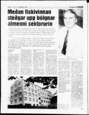 Síða 12