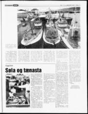 Síða 13