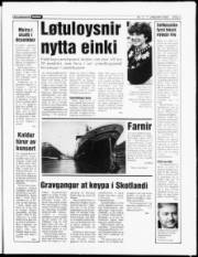Síða 3