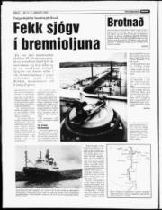 Síða 6