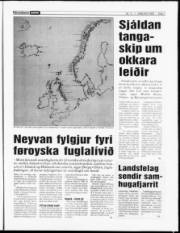 Síða 7